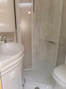 SynesVigra Glamping的带淋浴和卫生间的白色浴室