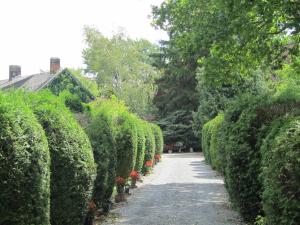 萨乌丁Domaine De La Carrauterie by Terre Insolite的花园中一条由树 ⁇ 排列的小路