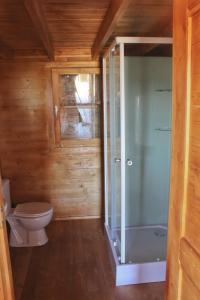 PodenceMonte do Azibo Glamping的一间带卫生间和玻璃淋浴间的浴室