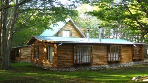 蓬塔阿雷纳斯埃斯康迪达住宿加早餐旅馆的树林里的木小屋