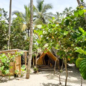 GuachacaLote 10 Glamping的棕榈树旁海滩上的帐篷
