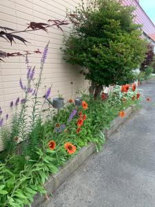 男鹿市Cottage Village 宿り木荘的花园,毗邻建筑