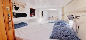 MasargantupoSailing Experiences的一间白色的小房间,里面设有两张床