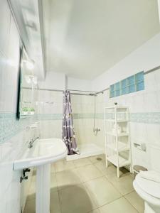 圣克鲁斯-德拉帕尔马罗卡玛酒店的一间带水槽、淋浴和卫生间的浴室