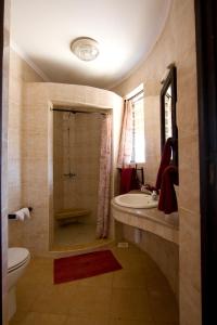 Archers Post桑布鲁索帕山林小屋的带淋浴、盥洗盆和卫生间的浴室
