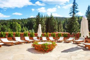 波罗维茨雅斯雷贝茨健康温泉酒店的庭院里摆放着一组椅子和遮阳伞