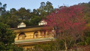 南庄星宿庭園咖啡民宿評價、特色體驗、房價資訊、訂房連結 – 親子友善與自然生態 - 照片 20