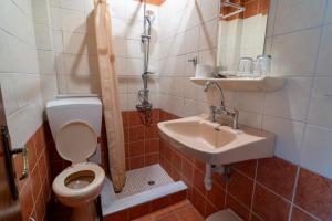 奥林匹亚力神酒店的一间带卫生间和水槽的小浴室