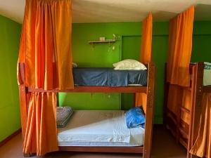瓦拉斯Big Mountain Hostel的带两张双层床的绿色墙壁客房