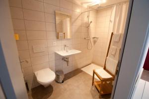 赛尼厄莱吉耶Hôtel Bellavista "Bellevue"的浴室配有卫生间、盥洗盆和淋浴。