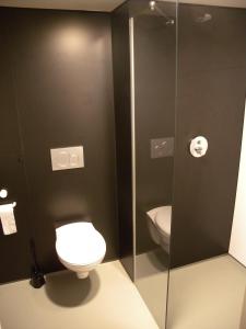 根特德德拉克旅舍的一间带卫生间和玻璃淋浴间的浴室