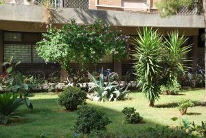 罗马La Casita Holiday House的一座花园,在一座建筑前种有树木和植物