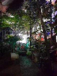 阿努拉德普勒圣市旅游度假酒店的花园,有植物和灯光