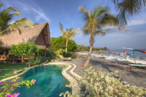 艾湄湾甘榜别墅的一个带游泳池和棕榈树的度假村