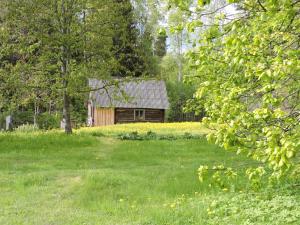 古尔贝内Gāršnieku Tauriņu māja的田野中间的旧小屋