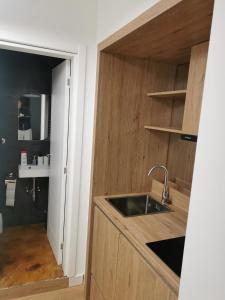 贝尔格莱德BG Exclusive Suites的一个带水槽和木柜的厨房