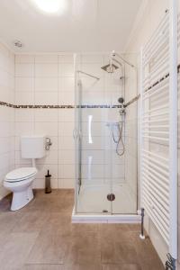 博维茨Apartmaji Mausi的带淋浴和卫生间的浴室