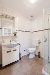 博维茨Apartmaji Mausi的浴室配有卫生间、盥洗盆和淋浴。