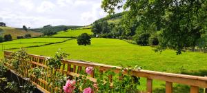 LlanbrynmairAwelfa a peaceful cottage in the Cambrian mountains的绿草丛中的围栏,花粉红