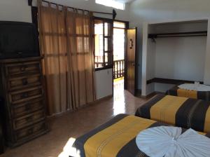 帕伦克波萨达阿吉拉实酒店的酒店客房设有两张床和电视。