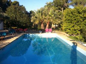 拉西约塔Du Coté de Chez Soi的一个带椅子和树木的蓝色游泳池