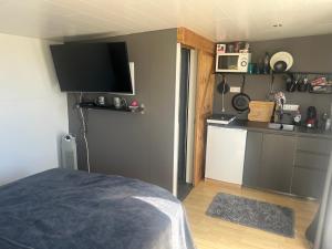 GufunesAdorable Tiny House in Reykjavik的客房设有带一张床和电视的厨房。