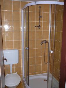捷克布杰约维采Horská chata Skácelka的带淋浴、卫生间和盥洗盆的浴室