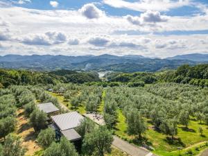 高松オリーブの宿 澳邸的树木种植园的空中景观