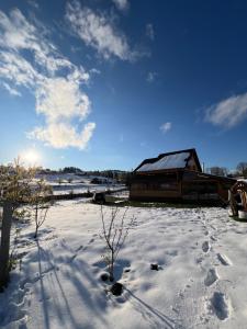 克卢日-纳波卡Cabana din Ses的建筑物前有脚印的雪地