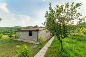 波德戈里察Rustic Cottage Montenegro Bridje的田野上的小房子,有树