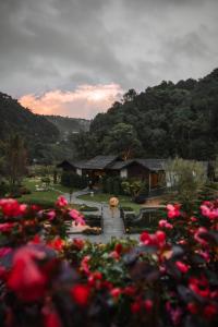 湄林蒙查温泉旅馆的一群粉红色的花朵在房子前面