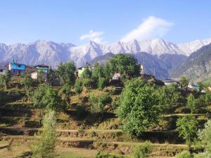 达兰萨拉Nirmal Homestay的山丘上的村庄,以山丘为背景