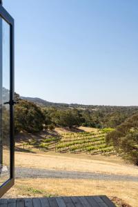 亚拉腊Montara Views 5的客房设有窗户,享有葡萄园的景致。