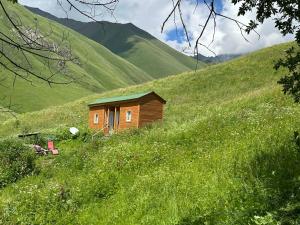 居塔amo-isuntke的草场上小山上的小木屋