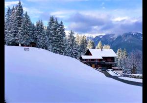 马里克斯Bergpension Battagliahütte的一座有树木的雪覆盖的山丘上的房子