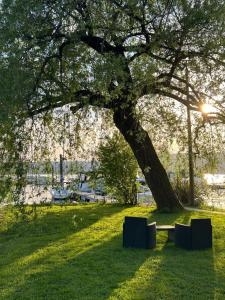 安杰拉Sopra l'acqua - Houseboat的公园树下的长凳
