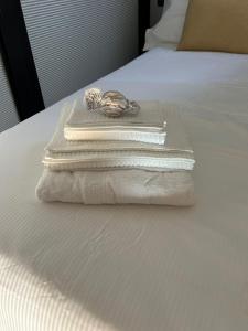 安杰拉Sopra l'acqua - Houseboat的床上的一大堆毛巾