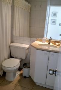 阿尔加罗沃Algarrobo Apartment的一间带卫生间、水槽和镜子的浴室