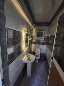 亚历山大شقة فندقية مكيفة ميامي ع البحر مباشرةً的一间带水槽和卫生间的小浴室