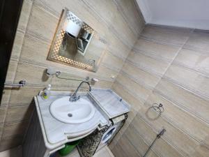 亚历山大شقة فندقية مكيفة ميامي ع البحر مباشرةً的一间带水槽和镜子的浴室
