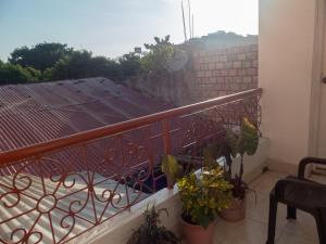 伊基托斯Moicca Youth Hostel的阳台设有盆栽植物和金属栏杆