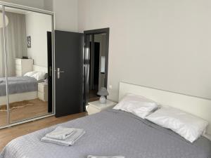 里加Valentine's 2 apartment Riga的一间卧室配有一张大床和镜子