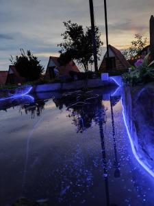 马尼萨莱斯Ecohotel Java的院子里的蓝色灯光水池