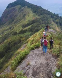 MawanellaElephant Hostel的一群人爬上山