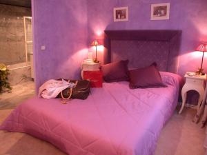 戛纳菲斯蒂瓦酒店的紫色卧室设有一张带紫色墙壁的大床