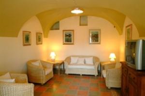 博萨科尔特费欧利塔艾尔伯格迪富索酒店的客厅配有沙发、椅子和电视