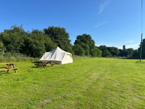 坎特伯雷Cooll Camping Canterbury的田野上的帐篷和野餐桌