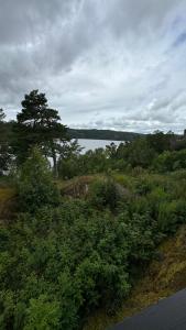 萨普斯堡Kunstnerhytte med panoramautsikt på Furuholmen的享有田野、树木和湖泊的景色