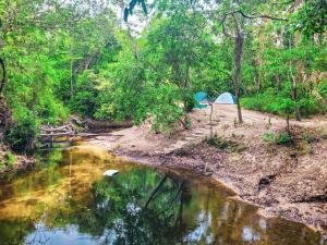 戈亚斯州上帕莱索Rancho Mariá Camping em Alto Paraíso de Goias的河边树林里的一组帐篷