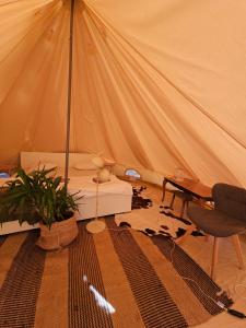 伊莫茨基Glamping Imotski的带帐篷、床和桌子的客房